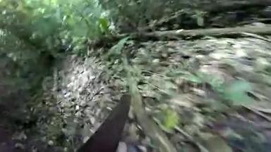 马切特在丛林里闯荡